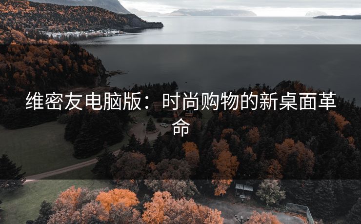 维密友电脑版：时尚购物的新桌面革命