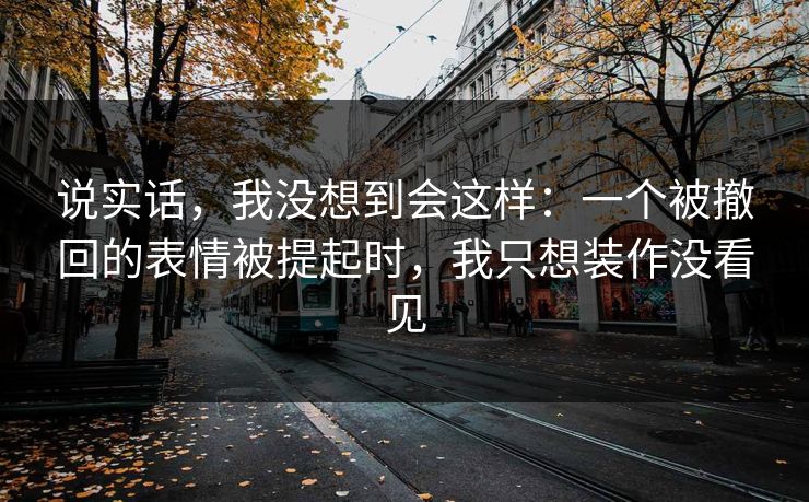 说实话,我没想到会这样:一个被撤回的表情被提起时,我只想装作没看见 说实话,我没想到会这样:一个被撤回的表情被提起时,我只想装作没看见