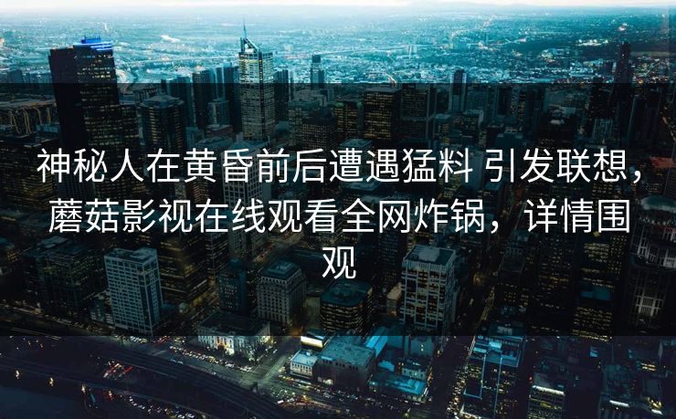 神秘人在黄昏前后遭遇猛料 引发联想，蘑菇影视在线观看全网炸锅，详情围观