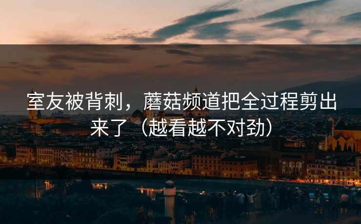 室友被背刺，蘑菇频道把全过程剪出来了（越看越不对劲）