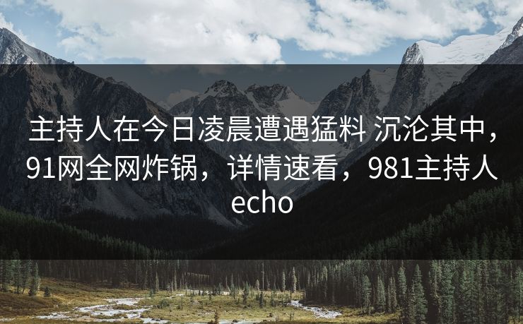 主持人在今日凌晨遭遇猛料 沉沦其中，91网全网炸锅，详情速看，981主持人echo