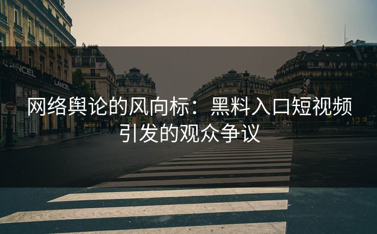 网络舆论的风向标：黑料入口短视频引发的观众争议